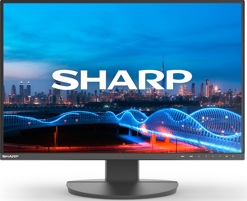 Monitoru Sharp MultiSync EA241W