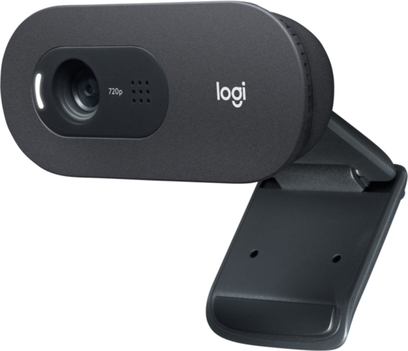 Logitech C505e HD for Business Webcam