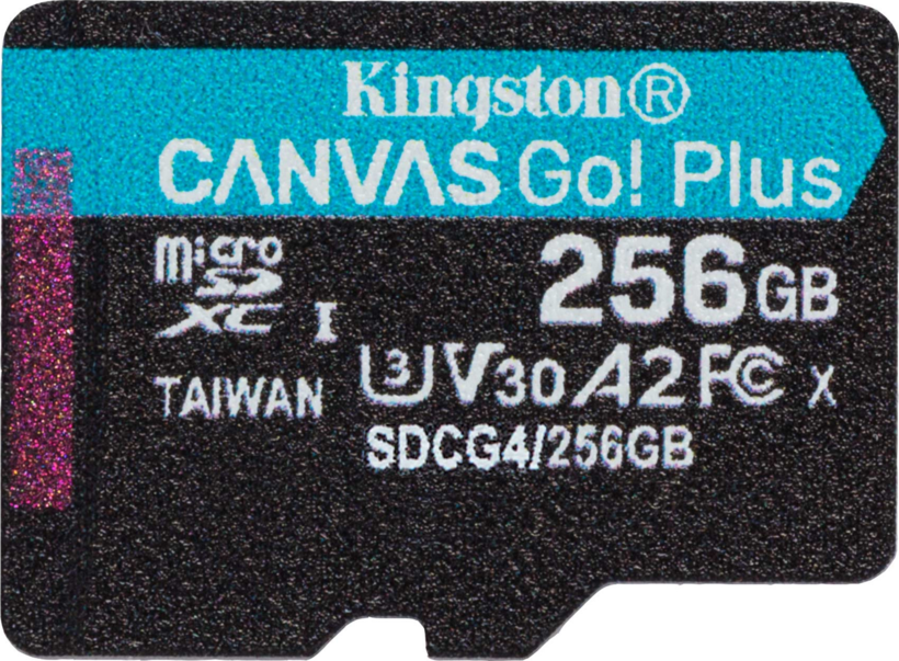 Kingston Canvas Go! Plus microSDXC 256GB