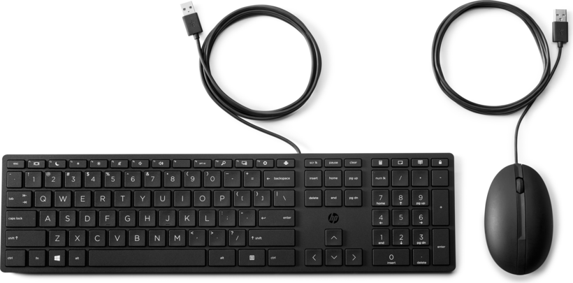 Set tastiera e mouse USB HP 320MK