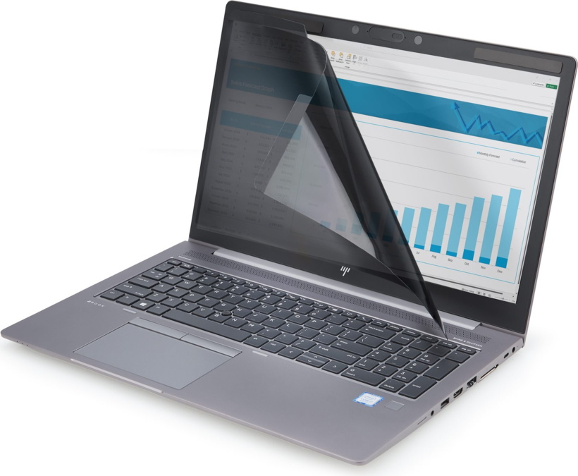 StarTech 14" Blickschutz magnetisch