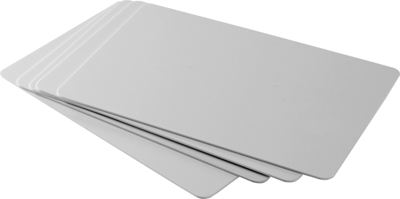 Zebra PVC Cards White 500pcs
