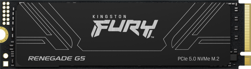 SSD Kingston FURY Renegade G5 8 TB