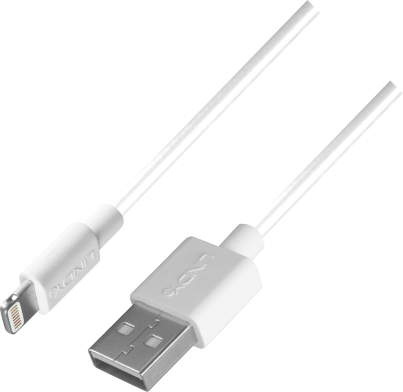 LINDY USB-A to Lightning Cable 1m
