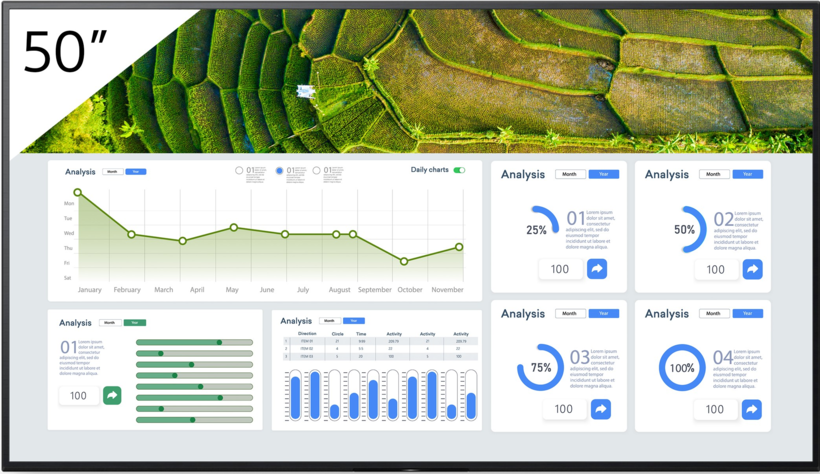 Sony Bravia FW-50BZ30L Display