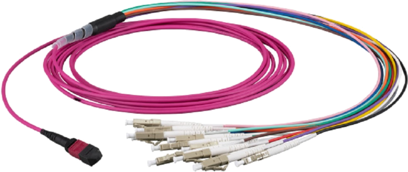 Cavo patch FO MTP/MPO Fe - 12x LC Ma 2 m