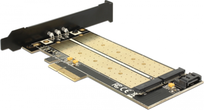 DeLock PCIe x4 - 2x M.2 LP Konverter