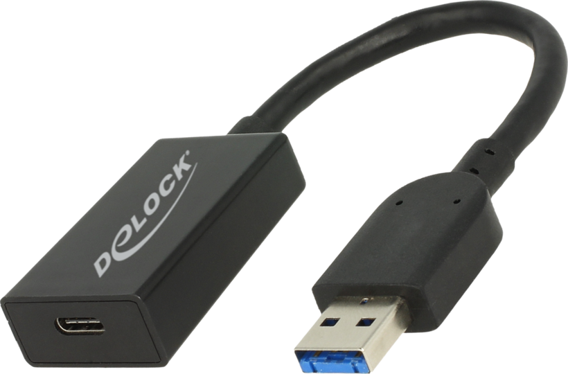 Delock A - C Adapter