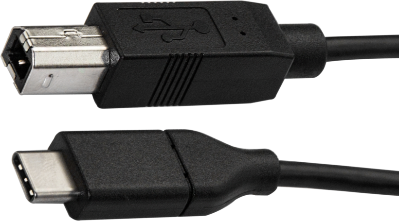 Cable USB 2.0 C/m-B/m 3m Black