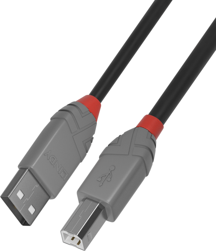 Kabel LINDY USB typu A - B, 2 m