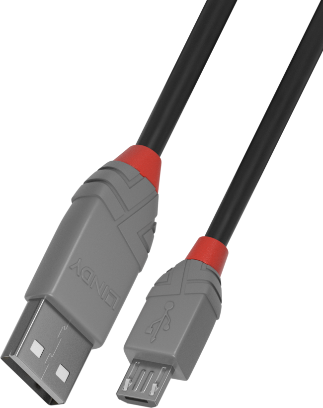 Cable LINDY USB tipo A - Micro-B 0,2 m