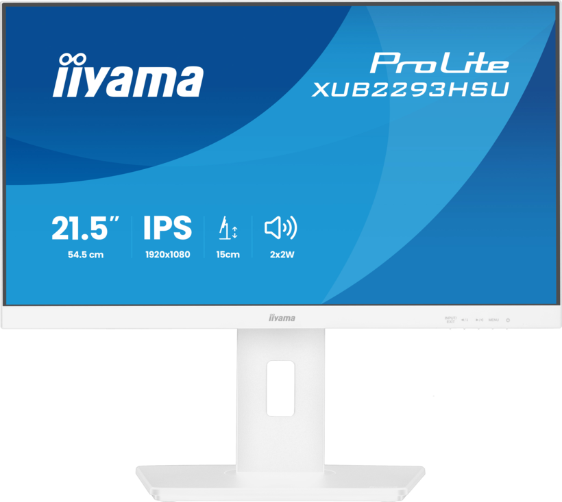 iiyama ProLite XUB2293HSU-W7 Monitor