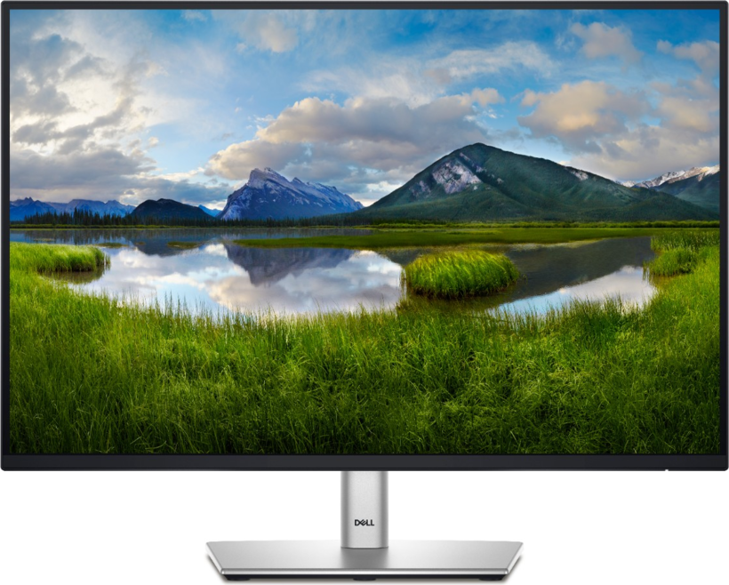 Dell Pro 24 Plus P2425 Monitor