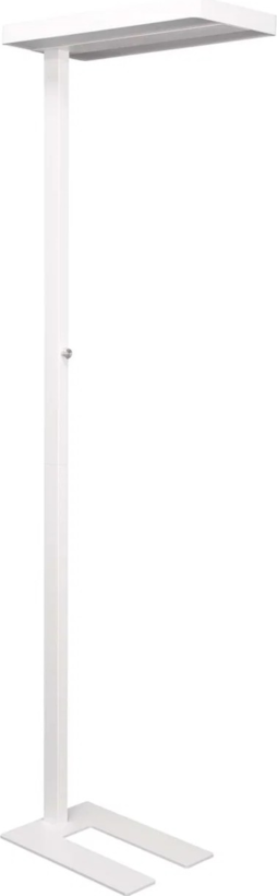 MAULjaval LED Floor Lamp Dimmable White