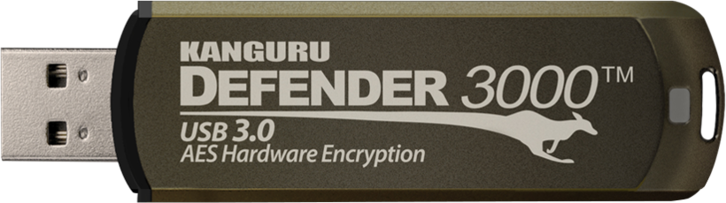 Kanguru Defender 3000 USB Stick 256GB