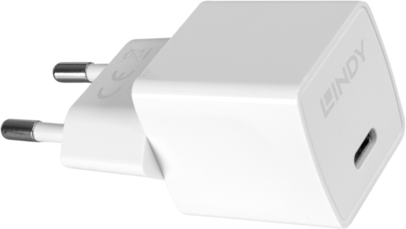 LINDY USB Typ C 20 W Ladeadapter