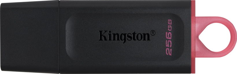 Kingston DT Exodia 256GB USB Stick