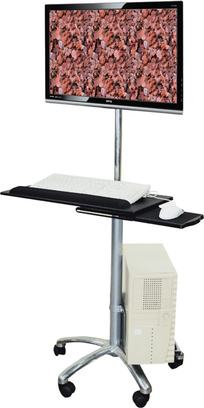 VALUE PC/LCD Mobile Cart
