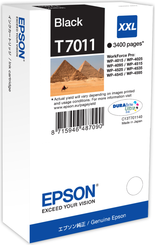 Epson T7011 Ink Black