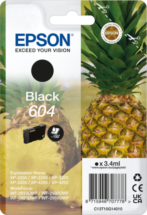 Epson Singlepack 604 Pineapple Ink Black