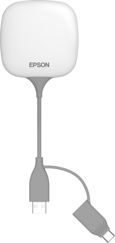 Epson ELPWP10 Wireless Presentation