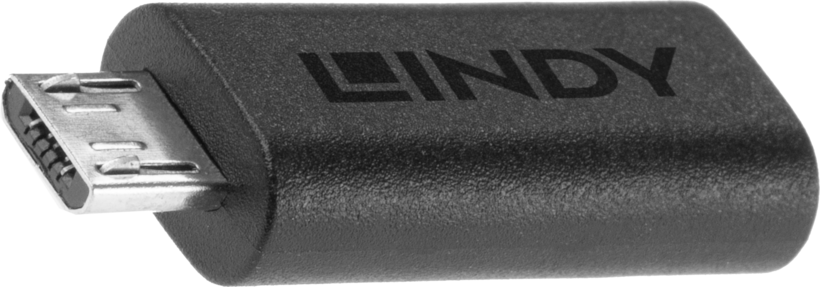 LINDY USB Typ C - Micro-B Adapter