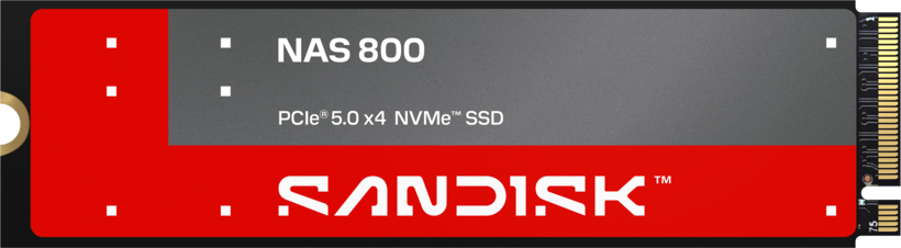 SANDISK NAS 800 1.92TB M.2 SSD