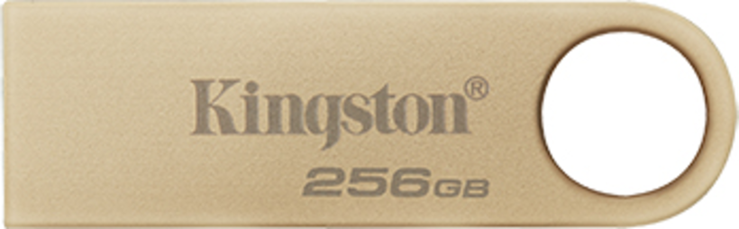 Kingston DT SE9 G3 256GB USB-A Stick