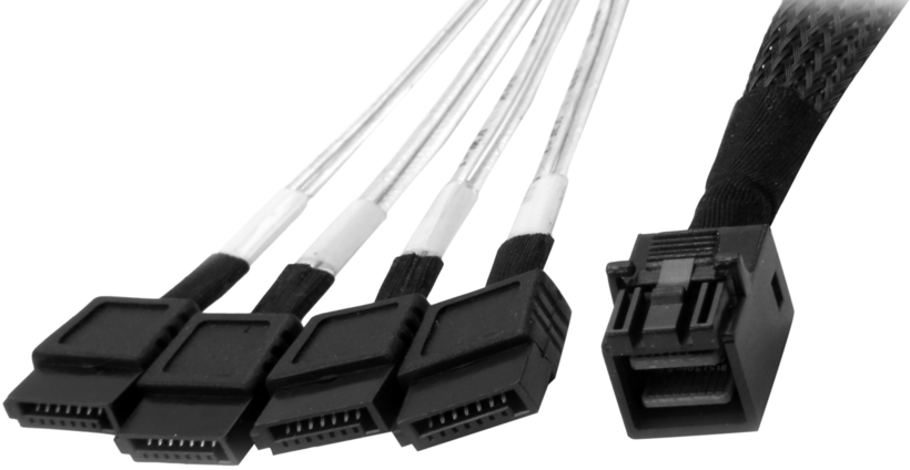 SAS Cable Int. SFF8643 - 4x SATA 1m