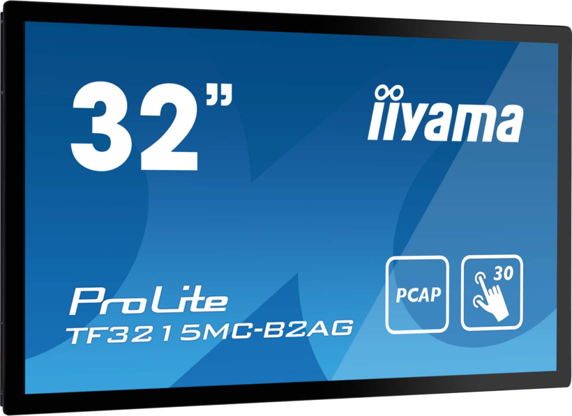 iiyama PL TF3215MC-B2AG Open Frame Touch