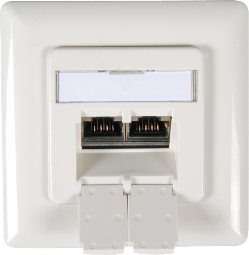 RJ45 Outlet FM 2x LSA+ Cat6 Pure White
