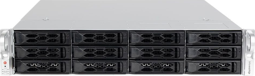 bluechip SERVERline R42320r Server