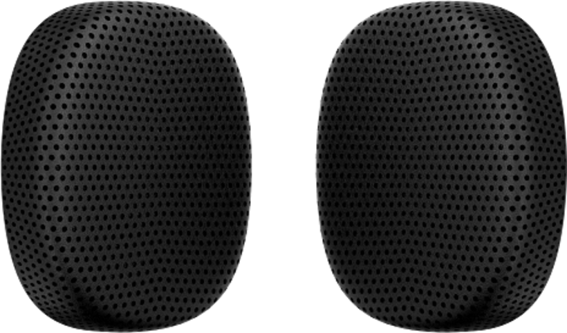 HP Poly Mission 4/6 Leather Ear Cushions