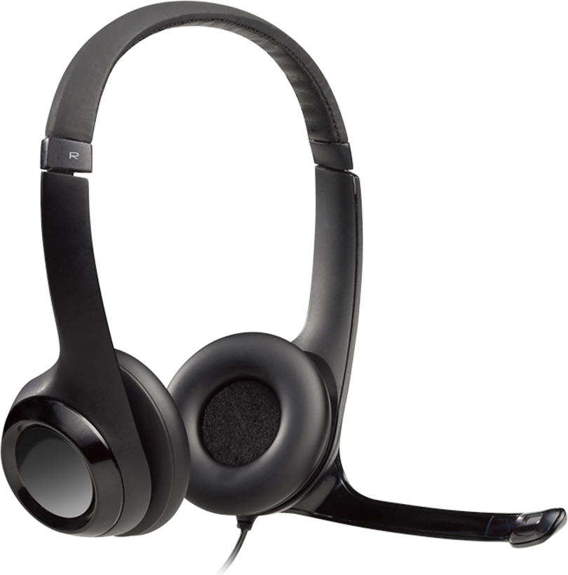 Logitech H390 USB Stereo Headset