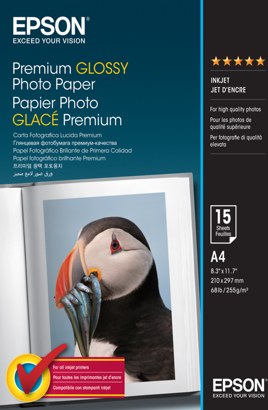 Epson Premium Glossy 210x297mm Photo Ppr