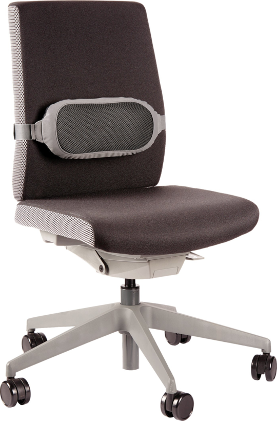 Fellowes I-Spire Lumbar Cushion
