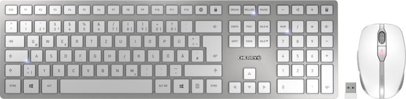 CHERRY DW 9100 SLIM Desktop Set silber