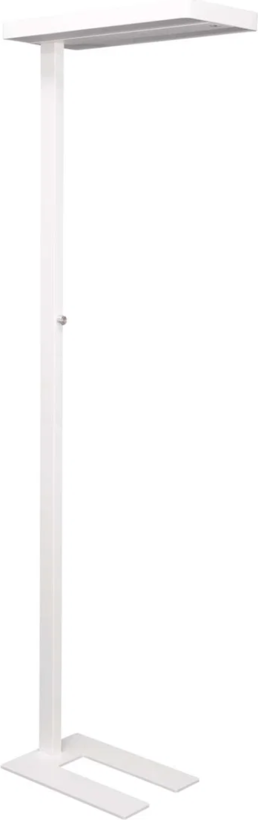 MAULjuvis Sensor LED Floor Lamp
