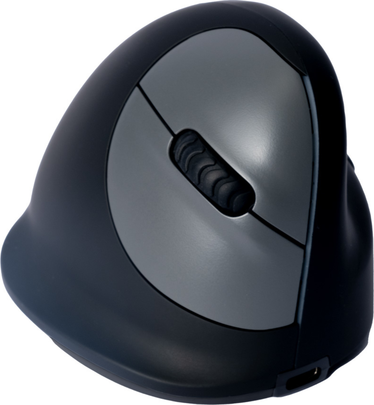 R-Go Ergonomic HE Break Mouse "M"