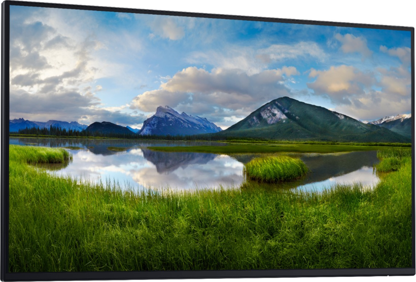 Dell Pro 27 Plus P2725H Monitor ohne Fuß
