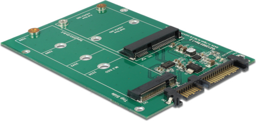 Delock 1x M.2 NGFF 1x mSATA Adapter