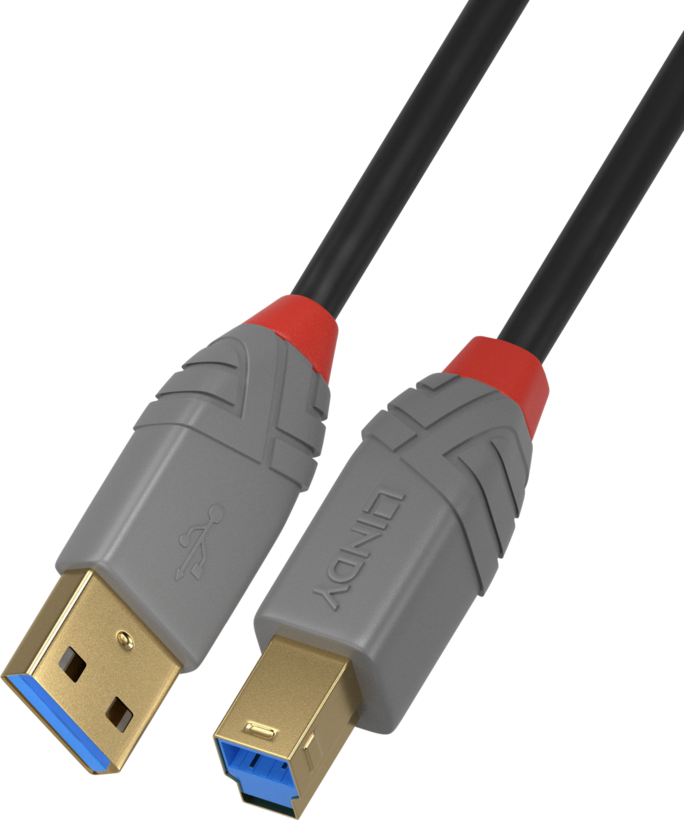 LINDY USB Typ A - B Kabel 5 m