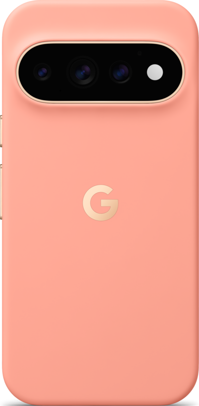 Google Pixel 11 Pro Case Canyon