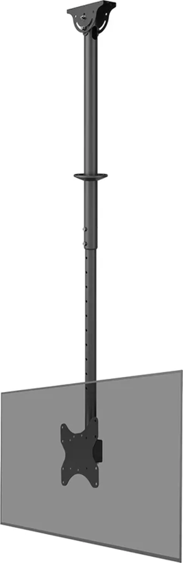 Neomounts Dual Monitor/Ceiling Mount