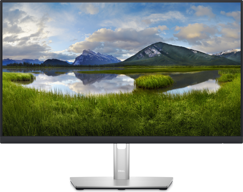 Dell Professional P2423D Monitor