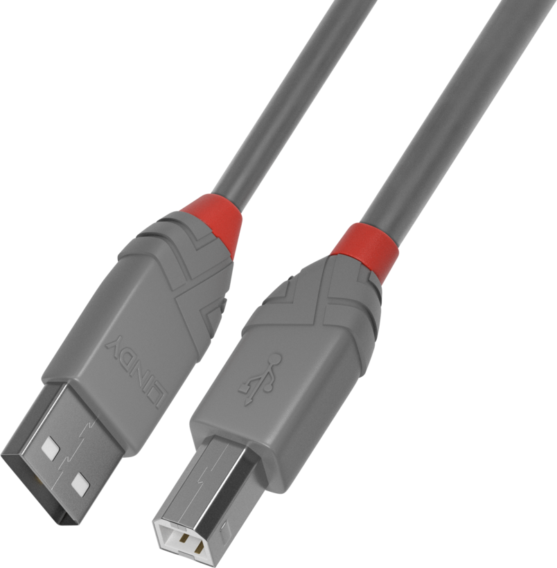 Cable LINDY USB tipo A - B 3 m