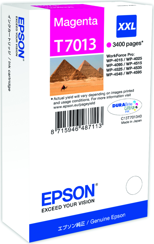 Epson T7013 Ink Magenta