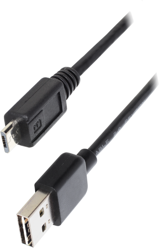 Câble USB Delock EasyA - microB, 2 m