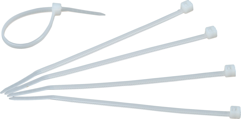 Rittal Cable Ties 100 Pcs.