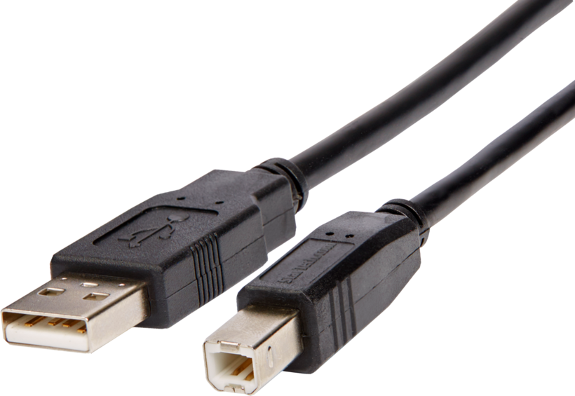 Cavo USB Type A - B StarTech 2 m